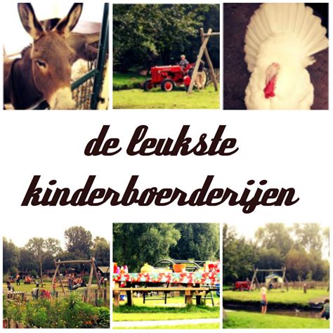 direboe|De leukste kinderboerderijen